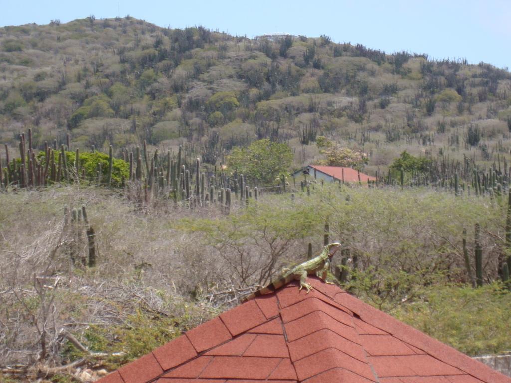 Fuego Mio Bed & Breakfast Santa Cruz Εξωτερικό φωτογραφία
